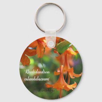 Porte-clés Bouton Bouton