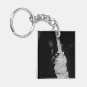 Porte-clés Brachygastra (Devant gauche)