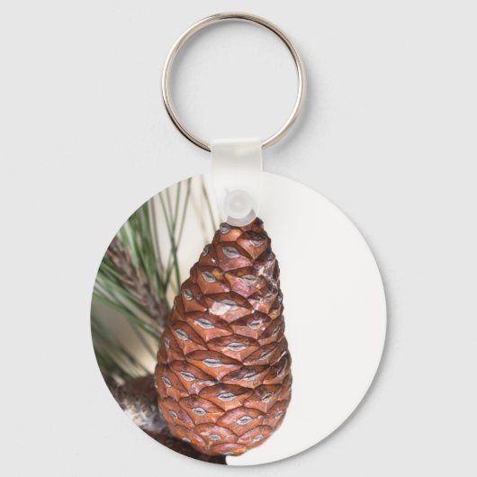 Porte-clés Branche de pin avec la pinecone (Recto)