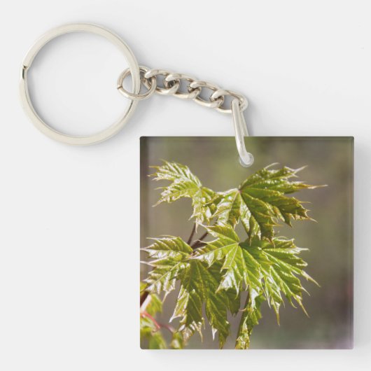 Porte-clés Branche d'érable vert mignon avec petits feuilles (Devant)