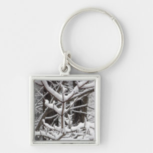 Porte-clés Branches couvertes de neige