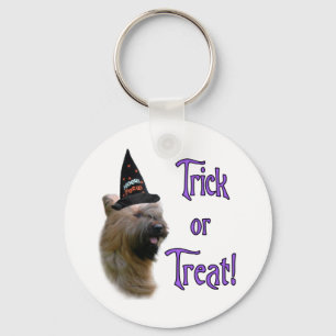 Porte-clés Briard Trick