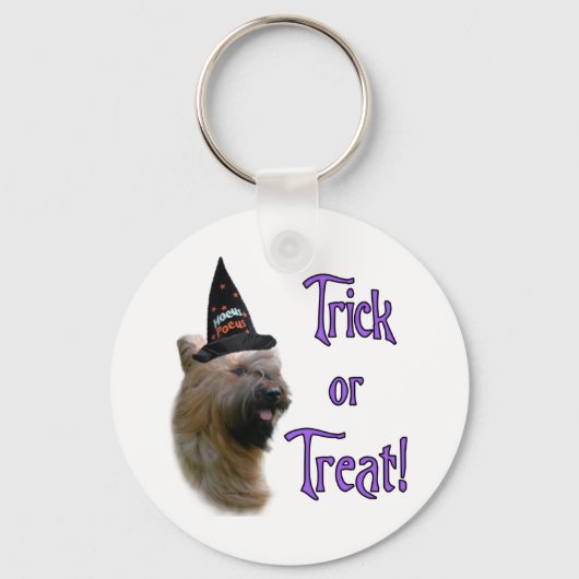 Porte-clés Briard Trick (Recto)