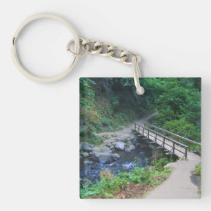 Porte-clés Bridge at Latourell Falls, Oregon