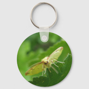 Porte-clés Brimstone Moth Porte - clé