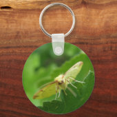 Porte-clés Brimstone Moth Porte - clé (Recto)