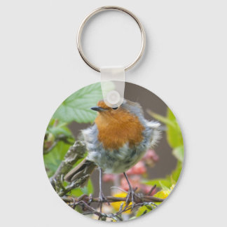 Porte-clés British Robin in porte - clé du printemps
