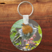 Porte-clés British Robin in porte - clé du printemps (Recto)
