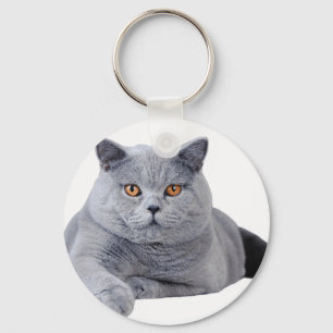 Porte-clés British shorthair