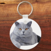 Porte-clés British shorthair (Recto)