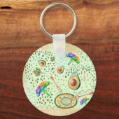 Porte-clés brocoli végétal et avocat (Recto)