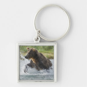 Porte-clés Brown Bear chasing salmon in river