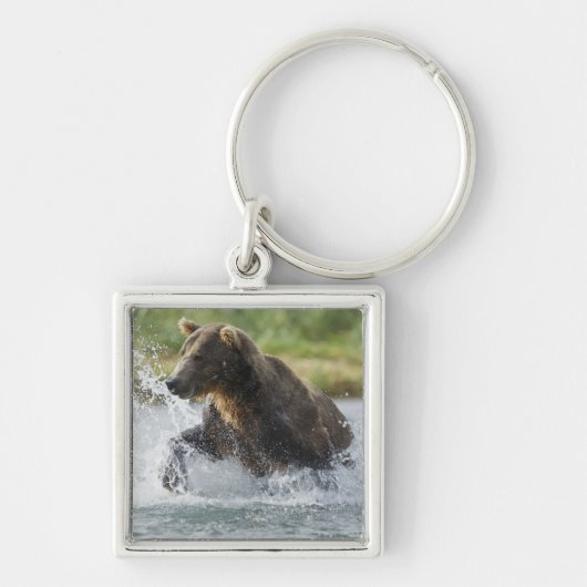 Porte-clés Brown Bear chasing salmon in river (Devant)