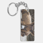 Porte-clés Brown Poitou Donkey (Devant gauche)