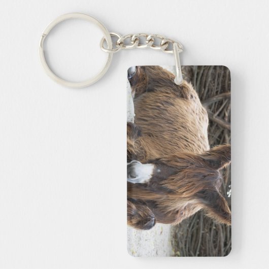 Porte-clés Brown Poitou Donkey (Devant)