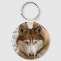 Brown Porte - clé Husky