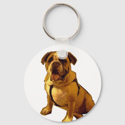 Porte-clés Brutus-Bulldog (Recto)