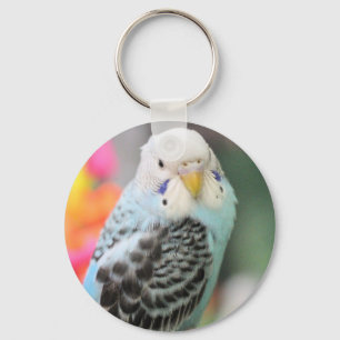 Porte-clés Budgie
