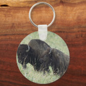 Porte-clés Buffalo américain (Recto)