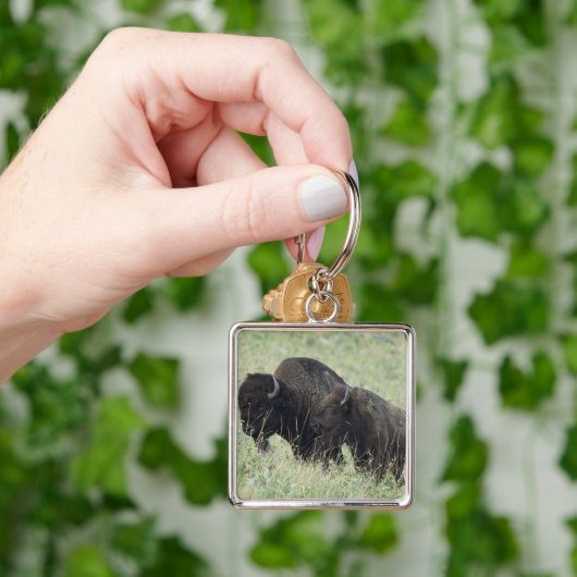 Porte-clés Buffalo américain (main)