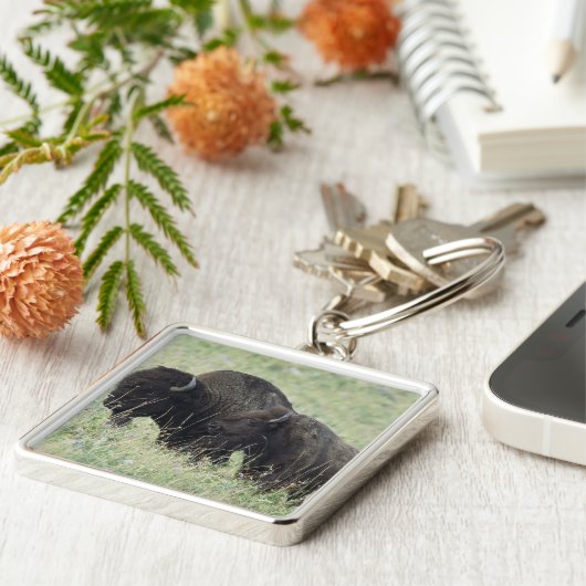 Porte-clés Buffalo américain (Côté)