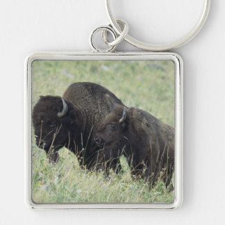 Porte-clés Buffalo américain