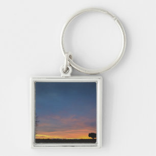 Porte-clés Buffalo au coucher du soleil en parc national