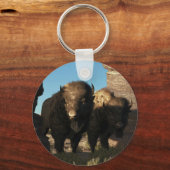 Porte-clés Buffalo Guard (Recto)