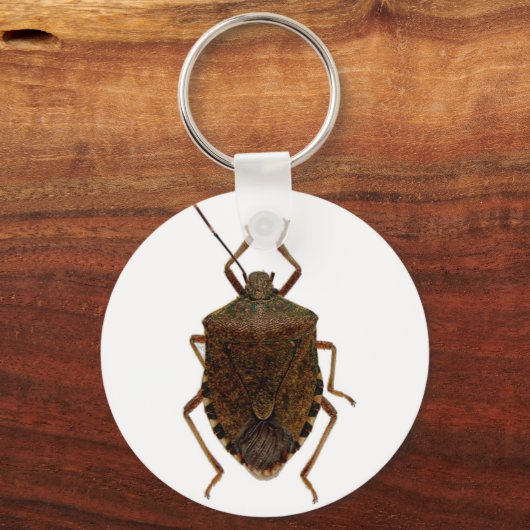 Porte-clés Bug puant (Recto)