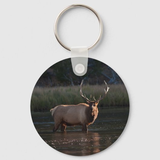 Porte-clés Bull Elk (Recto)