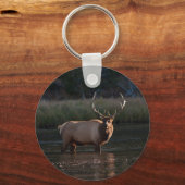 Porte-clés Bull Elk (Recto)