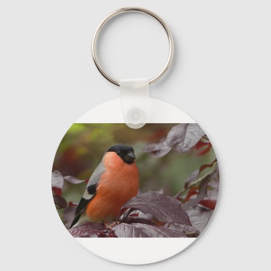 Porte-clés Bull Finch (Recto)