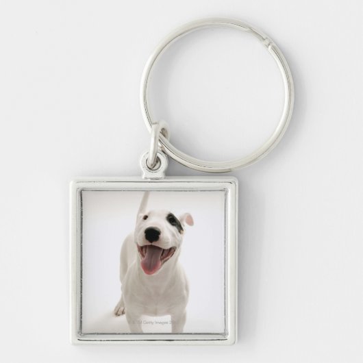 Porte-clés Bull-terrier joyeux (Devant)