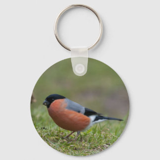 Porte-clés Bullfinch British Bird Porte - clé