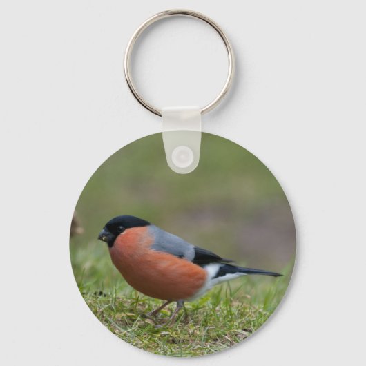Porte-clés Bullfinch British Bird Porte - clé (Recto)