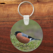 Porte-clés Bullfinch British Bird Porte - clé (Recto)