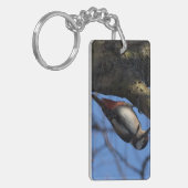 Porte-clés Buntspecht (Devant gauche)