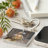 Porte-clés Buse à queue rouge dans la vallée de l'Hudson (Devant Droit)