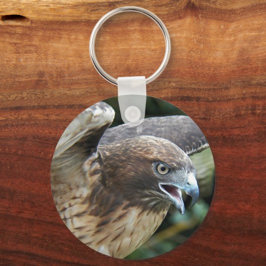Porte-clés Buse à queue rousse (Recto)