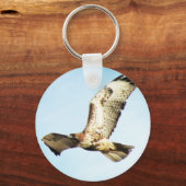 Porte-clés Buse à queue rousse en vol (Recto)