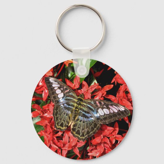 Porte-clés Butterfly on Red Flowers (Recto)