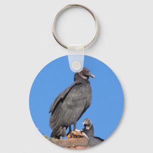 Porte-clés Buzzards Looking At You Key Rings