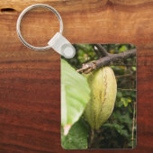 Porte-clés cabosse de cacao (Recto)