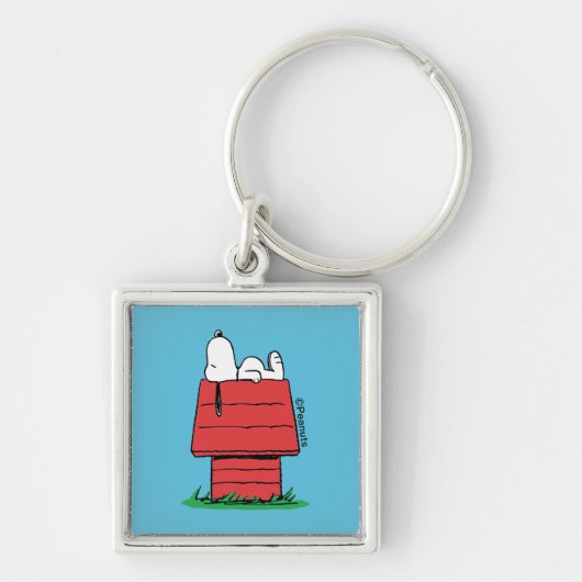 Porte-clés cacahuètes | Snoopy Napping (Devant)