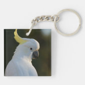 Porte-clés Cacatoès blanc exotique (Dos)