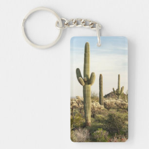 Porte-clés Cactus de Saguaro, Arizona, Etats-Unis