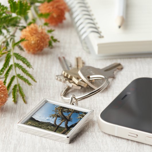 Porte-clés Cactus en parc national de Saguaro, Arizona (Côté)