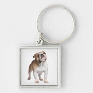 Porte-clés Cadeau pour amateur de chiots anglais bouledogue
