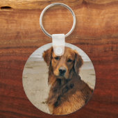Porte-clés Cadeaux d'art Retriever doré (Recto)