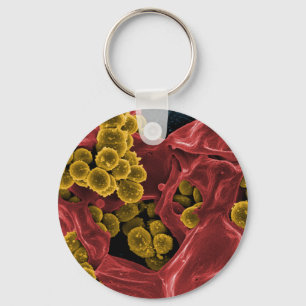 Porte-clés cadeaux de microbiologie de biologie pour des